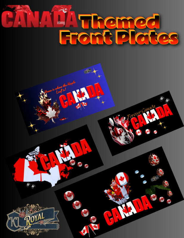 Shopping For Unique Personalized License Plate 3
